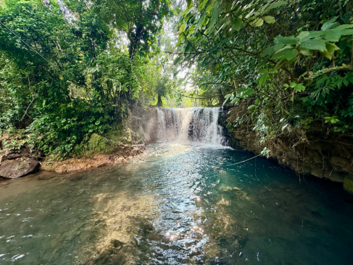 Region de los Tuxtlas